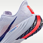 Nike Pegasus Plus Men's Road Running Shoes
