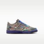 Nike Dunk Low SE Older Kids' Shoes