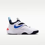 Nike Team Hustle D 11 Older Kids' Basketball Shoes