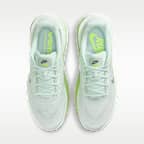 Nike Vomero Premium Men's Road Running Shoes