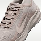 Chaussure de trail imperméable ACG Pegasus Trail GORE-TEX pour homme