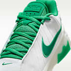 LeBron Witness 9 Basketball Shoes