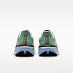 Nike Pegasus 42 SE Men's Road-Running Shoes