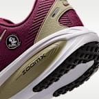 Tenis de correr en pavimento para hombre Nike College Vomero 18 (Florida State)