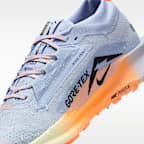 Nike Pegasus Trail 5 GORE-TEX Men's Waterproof Trail Running Shoes