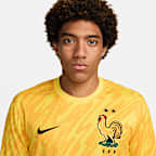 FFF (Men's Team) 2024/25 Stadium Goalkeeper Men's Nike Dri-FIT Soccer Replica Jersey