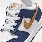Nike Dunk Low Baby/Toddler Shoes