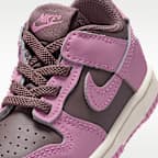 Nike Dunk Low Baby/Toddler Shoes