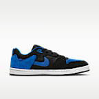 Nike SB Alleyoop Skate Shoes