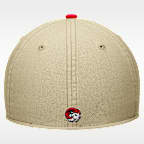 Gorra universitaria Nike Dri-FIT Winston-Salem State University SwooshFlex