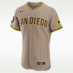 Fernando Tatis Jr. San Diego Padres Men's Nike MLB Authentic Jersey