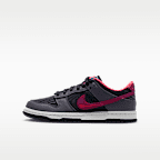 Dunk Low Protro "Black and Hot Punch" Big Kids' Shoes