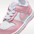 Nike Dunk Low Baby/Toddler Shoes