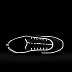 Nike Air Zoom Spiridon Men's Shoes