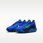 Nike IsoFly Big Kids' Basketball Shoes