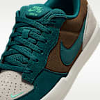 Chaussure de skateboard Nike SB Force 58