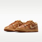 Nike Dunk Low Retro Men's Shoes