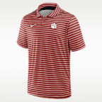 Clemson Tour Stripe Men's Nike Dri-FIT College Polo