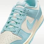 Nike Dunk Low Retro Men's Shoes