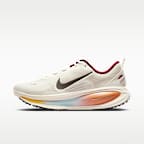 Nike Vomero 18 Men's Road Running Shoes