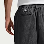 Nike SB Men's Skate Shorts