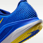 Nike Vapor 12 Men's Clay Court Tennis Shoes