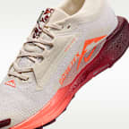 Nike Pegasus Trail 5 GORE-TEX Men's Waterproof Trail Running Shoes