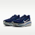 Ανδρικά παπούτσια για τρέξιμο σε δρόμο Nike Winflo 12