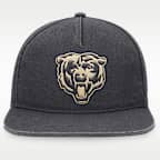 Chicago Bears Pro Men's Nike NFL Adjustable Hat