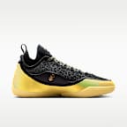 Tenis de básquetbol LeBron XXIII Elite "Hurt Feelings"