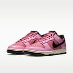 Nike Dunk Low Retro Men's Shoes