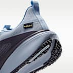 Tenis de correr en pavimento impermeables para hombre Nike Pegasus 42 GORE-TEX