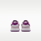 Nike Dunk Low Baby/Toddler Shoes