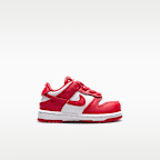 Nike Dunk Low Baby/Toddler Shoes