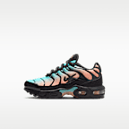 Nike Air Max Plus Little Kids' Shoes