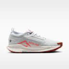 Nike Pegasus Trail 5 GORE-TEX Men's Waterproof Trail-Running Shoes