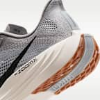 Nike Pegasus Plus Men's Road Running Shoes