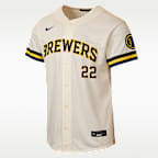 Christian Yelich Milwaukee Brewers Big Kids' Nike MLB Stadium Home Jersey