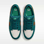 Chaussure de skateboard Nike SB Force 58