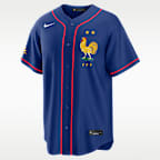 France National Team Men's Nike Soccer x MLB Stadium Jersey