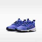 Nike Omni Multi-Court Big Kids' Indoor Court Shoes