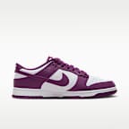 Nike Dunk Low Retro Men's Shoes