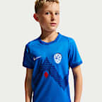 Slovenia 2026 Stadium Away Older Kids' Nike Dri-FIT Football Replica Shirt