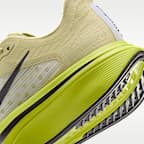 Nike Pegasus Plus 2 Women's Road Running Shoes