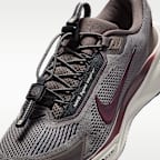 Nike Pegasus EasyOn Men's Road Running Shoes