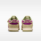 Nike Dunk 低筒 Retro SE 男鞋