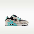 Nike Air Max 90 Big Kids' Shoes
