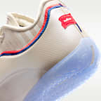 LeBron XXIII Basketball Shoes