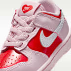 Nike Dunk Low Baby/Toddler Shoes