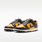Nike Dunk Low Retro Men's Shoes